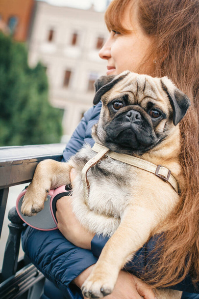 Frau umarmt lustigen Welpen mit Liebe im Freien. Hund einer Mops-Rasse mit Herrchen glücklich zusammen. Haustierpflege - Foto, Bild
