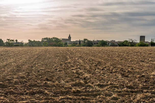 Salida del sol en el pueblo mallorquín de Porreres con un campo arado en primer plano - Foto, imagen