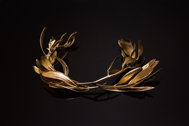 The olive wreath (kotinos) - 写真・画像