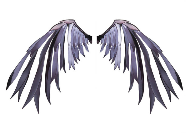 Mooie duivel vleugel verenkleed geïsoleerd op witte achtergrond met clipping pad - Foto, afbeelding
