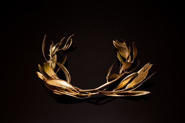 The olive wreath (kotinos) - Φωτογραφία, εικόνα