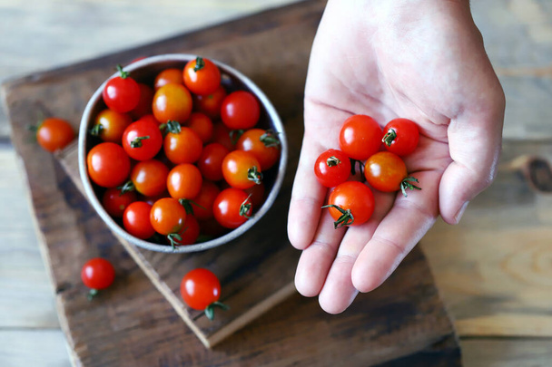 Cherry tomatoes in hand. Fresh mini tomatoes. - Foto, Bild