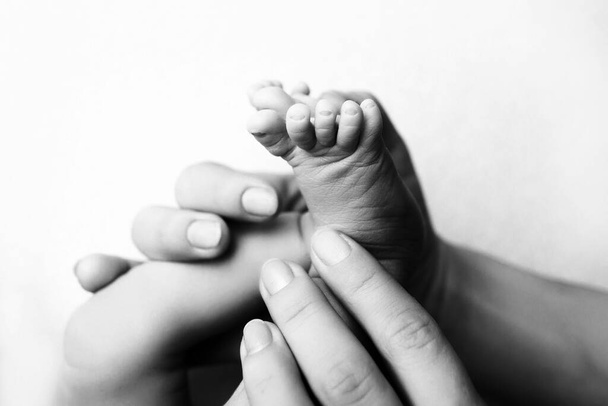 Los pies de los niños en las manos de la madre y el padre en blanco. Madre, padre e hijo recién nacido. Concepto de familia feliz. Blanco y negro. - Foto, Imagen
