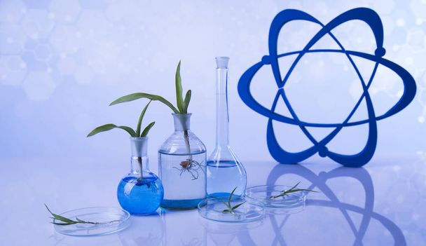 Atom, Chemisch laboratoriumglaswerk, Genetisch gemodificeerde plant - Foto, afbeelding