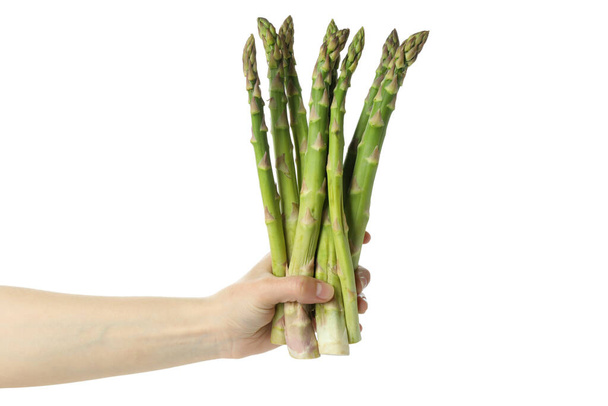 Female hand hold asparagus, isolated on white background - Foto, imagen