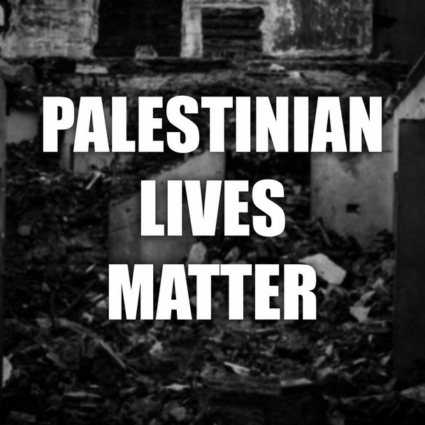 Σημάδι Παλαιστινιακής Ζωτικής Ύλης. Δείξτε την υποστήριξή σας στους Παλαιστίνιους. Σκηνή καταστροφής. Μήνυμα αλληλεγγύης και υποστήριξης. - Φωτογραφία, εικόνα
