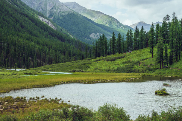 Атмосферні пейзажі з альпійським озером та хвойними лісами у гірській долині. Драматичний зелений пейзаж з хвойними деревами на схилах і брижі на водяній поверхні. Прекрасне дике місце в горах
. - Фото, зображення