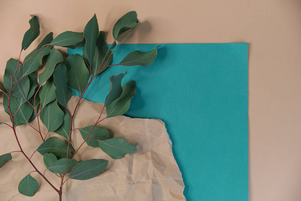 greeting card mockup. eucalyptus branch on a beige background. different paper texturescongratulation. invitation. place for text. flat lay - Photo, Image