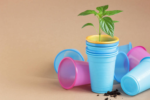 Plant seedlings in plastic containers  - cups from coffee or any drink, closeup, recycling waste, disposable sustainable living, zero waste, refill rethink reduce reuse concept - Photo, image