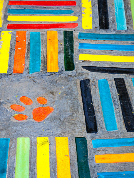 Top view on pieces of multicolored ceramic tiles decorated in garden. Old pavement of tiles textured. Street mosaic cobblestone sidewalk. Abstract,background and pattern of ceramic tile on the floor. - Photo, Image