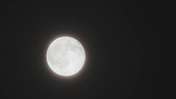 Moon Timelapse, Stock time lapse: Telihold emelkedik a sötét természet ég, éjszakai idő. - Felvétel, videó