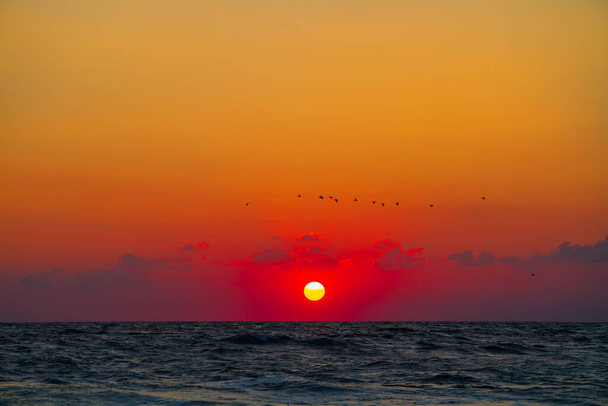 Brillante amanecer rojo en el Mar de Azov. Hermoso cielo sobre el mar con cormoranes voladores - Foto, Imagen