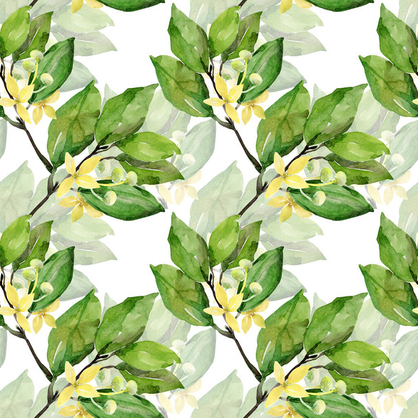 Watercolor laurel branch seamless pattern.Image on a white and colored background. - Photo, Image