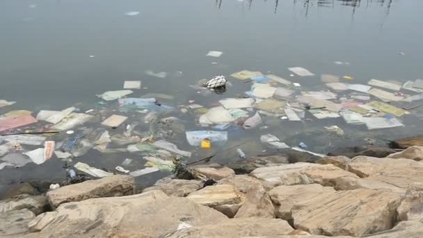Contaminación ambiental. Botellas de plástico, bolsas, basura en el río o el lago. Basura y contaminación flotando en el agua. Movimiento a lo largo de la costa contaminada. Movimiento lento - Imágenes, Vídeo