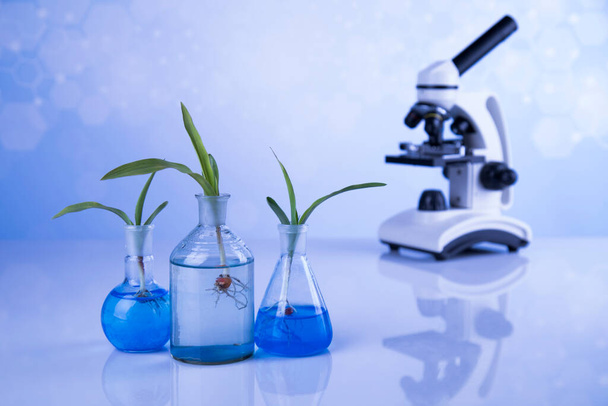 Mikroskop, Biotechnologie-Konzept, Pflanzenlabor-Experimente - Foto, Bild