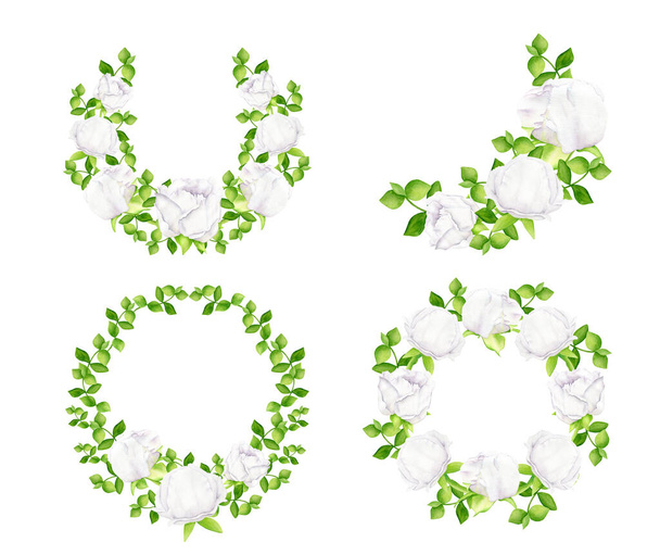 Σταφύλια με νερομπογιές. Ζωγραφισμένα στο χέρι παιώνιες και πράσινα φύλλα απομονώνονται σε λευκό φόντο. Λευκά λουλούδια και πράσινο πλαίσιο. Στρογγυλό βοτανικό σχεδιασμό για προσκλήσεις, εκτός από την ημερομηνία, κάρτες. - Φωτογραφία, εικόνα