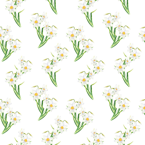 Υδατογραφία Narcissus αδιάλειπτη μοτίβο. Ζωγραφισμένα στο χέρι λουλούδια ασφόδελου απομονωμένα σε λευκό φόντο. Άνοιξη floral illistration, κομψό θηλυκό σχέδιο για ύφασμα, υφάσματα, περιτύλιγμα, λεύκωμα, εκτύπωση. - Φωτογραφία, εικόνα