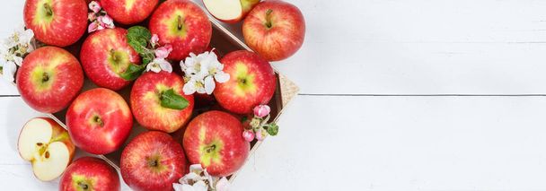Apples fruits red apple fruit box on wooden board banner copyspace copy space with leaves and blossoms food - Fotoğraf, Görsel