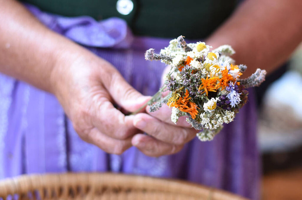Παραδοσιακό βότανο καθαγιασμό και θάμνος ημέρα της Κοίμησης της Θεοτόκου (15 Αυγούστου - Φωτογραφία, εικόνα