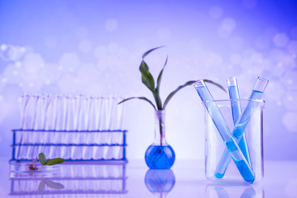 Pflanzenlabor experimentelle, chemische Gläser - Foto, Bild