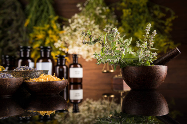 Alternative health, fresh herbal and mortar in black mirror background - Photo, Image