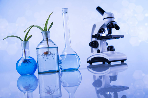 Experimento científico con laboratorio de plantas - Foto, imagen