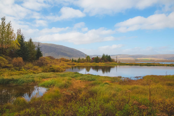 Egy magányos, magányos, tóparti izlandi vörös kunyhó az erdőben, Izland vidéki tájain.. - Fotó, kép
