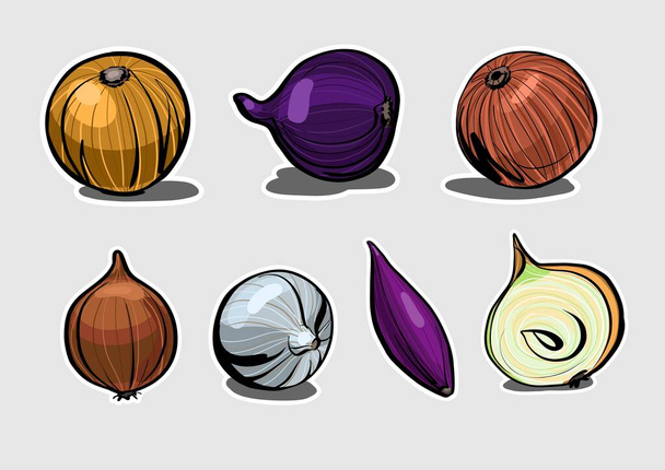 A set of fresh onions, various varieties. Illustration in the style of a color sketch with markers in the form of stickers. - Vector, Image