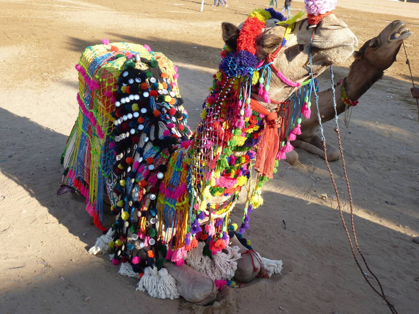 Dromedario bellamente decorado, feria Pushkar Camel - Foto, imagen