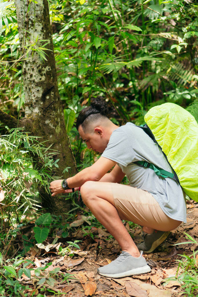 Mann beobachtet Pflanze im tropischen Wald - Foto, Bild