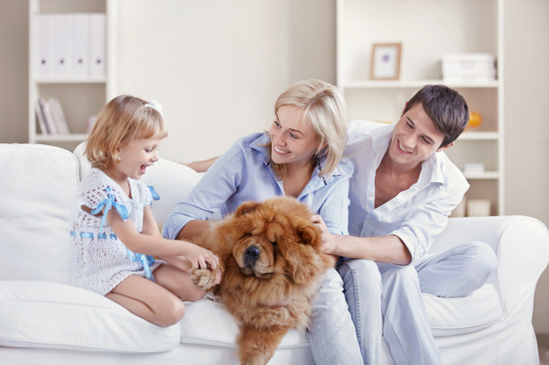 Young family with a dog at home - Foto, immagini