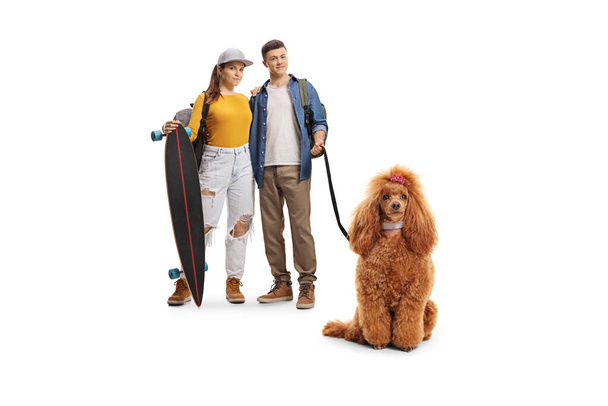 Young couple with backpacks and a longboard with a red poodle dog on a lead isolated on white background - Foto, Bild