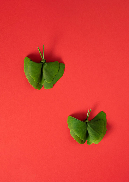 Gingko Biloban vihreistä lehdistä valmistetut perhoset makaavat punaisella taustalla. Tasainen lay luova kevät käsite - Valokuva, kuva