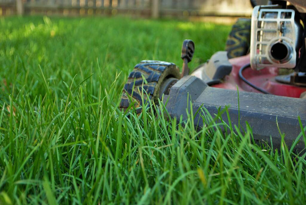 Blick vom Boden auf einen Rasenmäher im hohen Gras - Foto, Bild