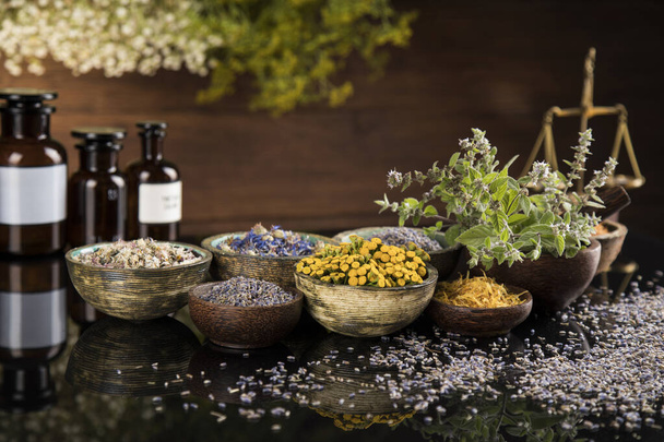 Black mirror background, Natural remedy, healing herbs - Photo, Image