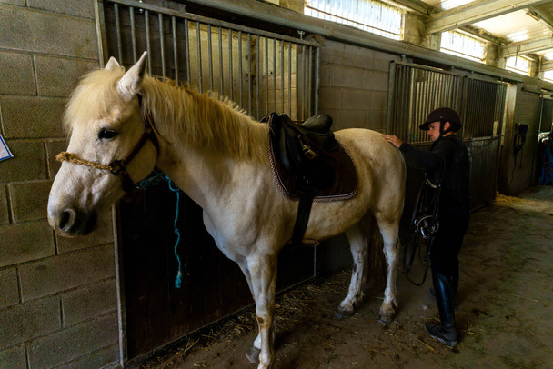 mladý jezdec připravuje koně pro jízdu ve stáji - Fotografie, Obrázek