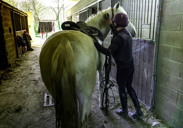 jeune cavalier préparant cheval pour l'équitation dans l'écurie - Photo, image