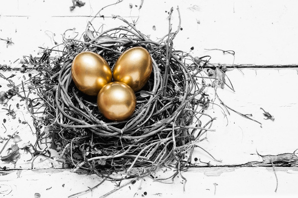 Golden eggs in nest - Foto, afbeelding