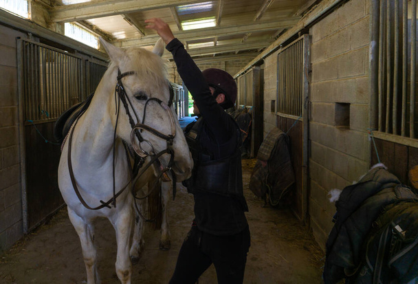 Junge Reiterin bereitet Pferd auf Reiten im Stall vor - Foto, Bild