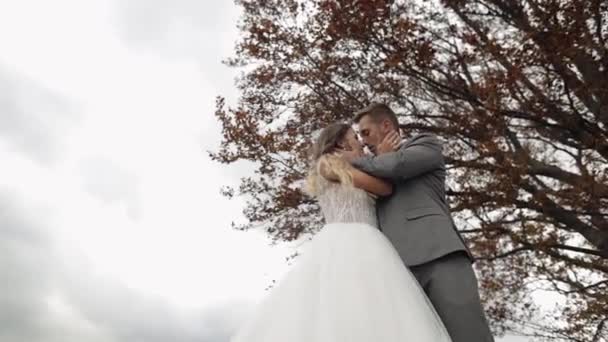 Прекрасна молода молода наречена наречена, що обіймається на фоні хмарного неба, закохана пара весілля
 - Кадри, відео