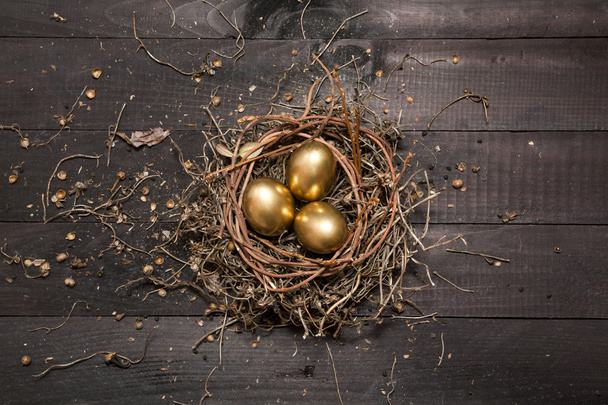 Golden eggs in nest - Foto, immagini
