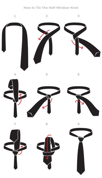 Инструкция по завязыванию узла
 - Вектор,изображение