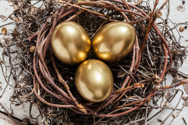 Golden eggs in nest - Valokuva, kuva
