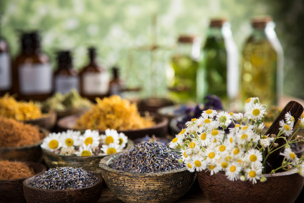 Homeopati, ahşap masada bitkisel ilaçlar. - Fotoğraf, Görsel