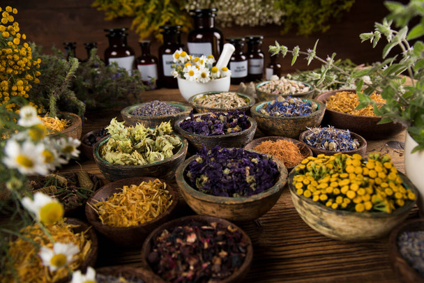 Alternative medicine, dried herbs background - Photo, Image