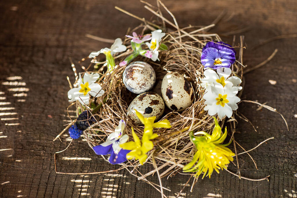 Easter nest with spring flowers - Foto, Bild