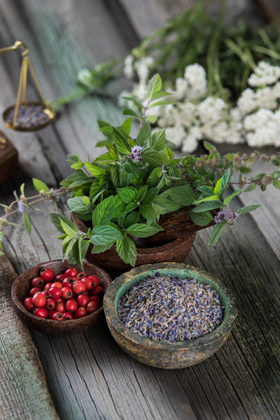 Natural remedy, healing herbs background - Photo, Image