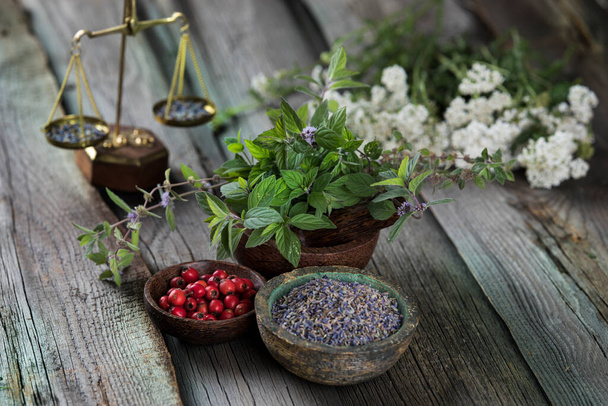 Remedio natural, fondo de hierbas curativas - Foto, Imagen
