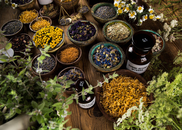 Alternative medicine, dried herbs background - Photo, Image