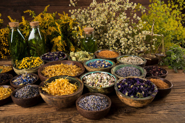 Assorted natural medical, herbs and mortar - Photo, Image